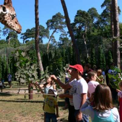 kirándulás a Nagyerdei Kultúrparkban - adó, 1%, alapítvány, támogatás