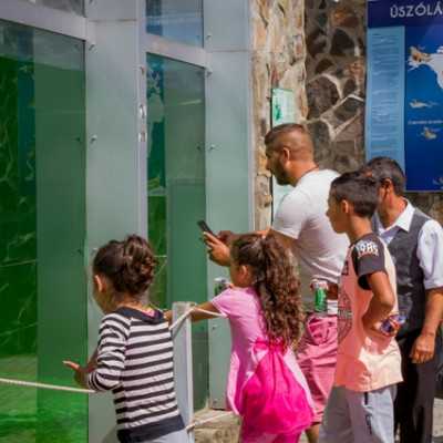 Kirándulás a Nyíregyházi Állatparkban - alapítvány, adó 1%, támogatás