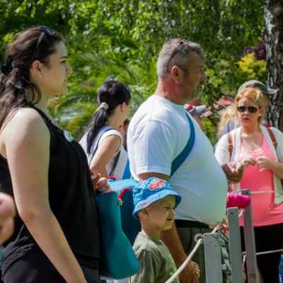 Kirándulás a Nyíregyházi Állatparkban - alapítvány, adó 1%, támogatás