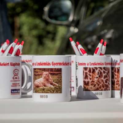 Kirándulás a Nyíregyházi Állatparkban - alapítvány, adó 1%, támogatás