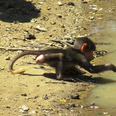 Kirándulás a Nyíregyházi Állatparkban - alapítvány, adó 1%, támogatás