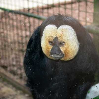 Kirándulás a Nyíregyházi Állatparkban - alapítvány, adó 1%, támogatás