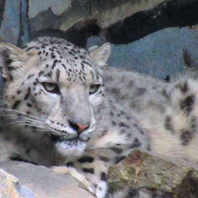 Kirándulás a Nyíregyházi Állatparkban - alapítvány, adó 1%, támogatás