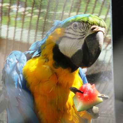 Kirándulás a Nyíregyházi Állatparkban - alapítvány, adó 1%, támogatás