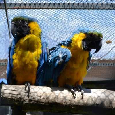 Kirándulás a Nyíregyházi Állatparkban - alapítvány, adó 1%, támogatás