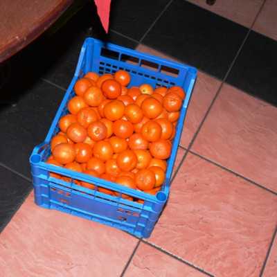 Kis Karácsony, Nagy Karácsony 2016 - adó, 1%, alapítvány, támogatás