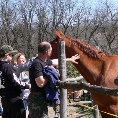 Lelki feltöltődés a Midnight Lovas Klubban - alapítvány, adó 1%, támogatás