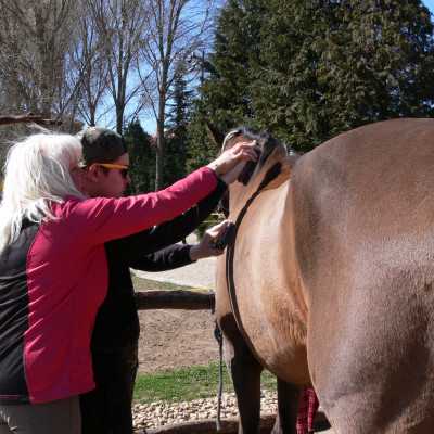 Lelki feltöltődés a Midnight Lovas Klubban - alapítvány, adó 1%, támogatás