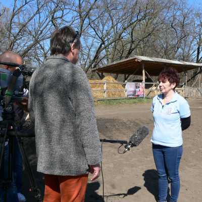 Lelki feltöltődés a Midnight Lovas Klubban - alapítvány, adó 1%, támogatás