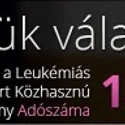 Május 20-án éjfélig lehet benyújtani a személyi jövedelemadó bevallásokat - alapítvány, adó 1%, támogatás