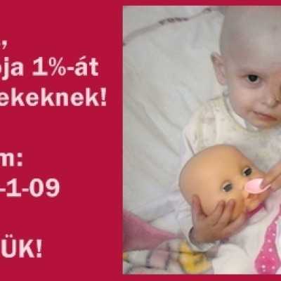 Nekünk 1% Nekik több esély a gyógyuláshoz - alapítvány, adó 1%, támogatás