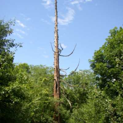 Nyaralás a Balatonnál! - adó, 1%, alapítvány, támogatás