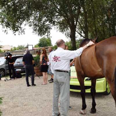 Remény családi nap Sasvári Sándornál - adó, 1%, alapítvány, támogatás