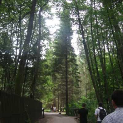 Remény Családi Tábor 1 nap - adó, 1%, alapítvány, támogatás