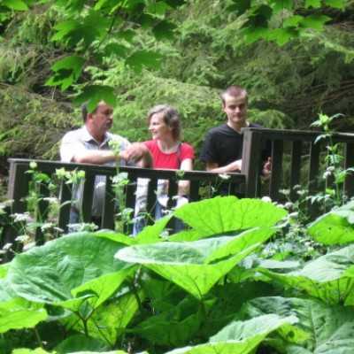 Remény Családi Tábor 1 nap - adó, 1%, alapítvány, támogatás