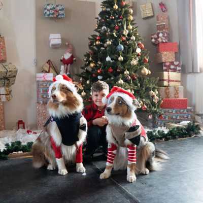 2025. December 6 - Mikulás ünnepség - adó, 1%, alapítvány, támogatás