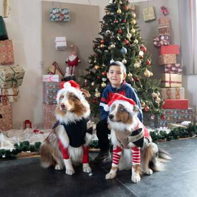 2025. December 6 - Mikulás ünnepség - adó, 1%, alapítvány, támogatás