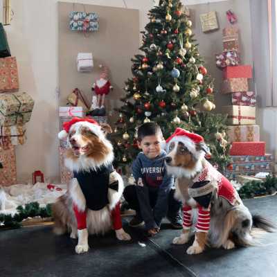 2025. December 6 - Mikulás ünnepség - adó, 1%, alapítvány, támogatás