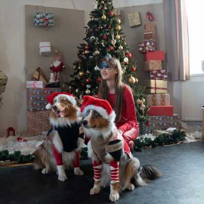 2025. December 6 - Mikulás ünnepség - adó, 1%, alapítvány, támogatás