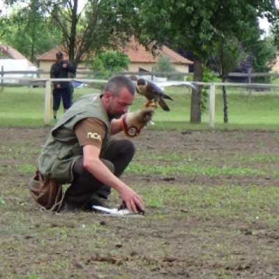 Részt vettünk a Nyeregszemlén - adó, 1%, alapítvány, támogatás
