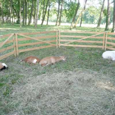 Somló Hangja Fesztivál, Doba - adó, 1%, alapítvány, támogatás