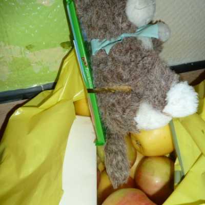 Steril csomagok és ajándékok Budapestre. - adó, 1%, alapítvány, támogatás