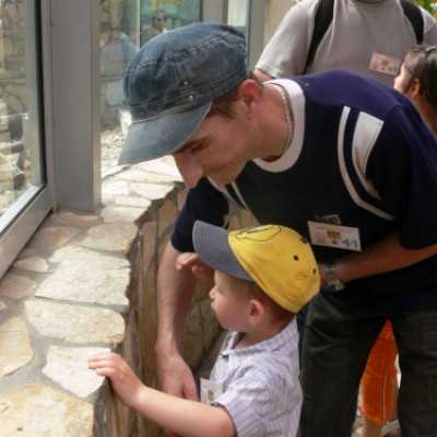 Szurikáta családot fogadtunk örökbe a debreceni állatkertben! - adó, 1%, alapítvány, támogatás