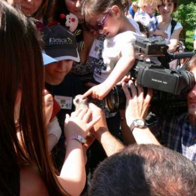 Szurikáta családot fogadtunk örökbe a debreceni állatkertben! - adó, 1%, alapítvány, támogatás