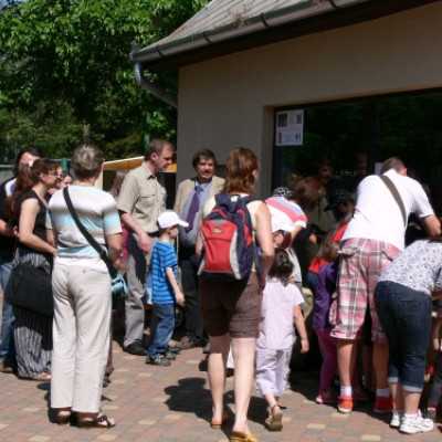 Szurikáta családot fogadtunk örökbe a debreceni állatkertben! - adó, 1%, alapítvány, támogatás