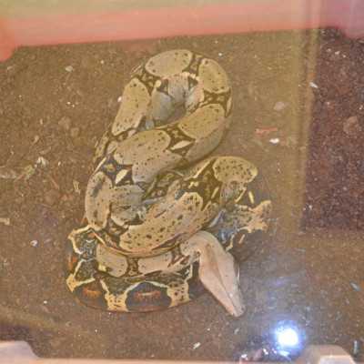 Tavaszváró ünnepség a leukémiás és daganatos beteg gyermekekért - adó, 1%, alapítvány, támogatás