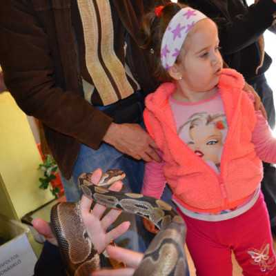 Tavaszváró ünnepség a leukémiás és daganatos beteg gyermekekért - adó, 1%, alapítvány, támogatás