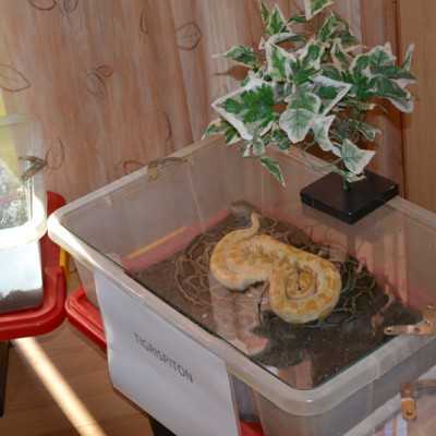 Tavaszváró ünnepség a leukémiás és daganatos beteg gyermekekért - adó, 1%, alapítvány, támogatás