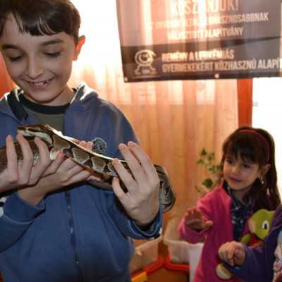 Tavaszváró ünnepség a leukémiás és daganatos beteg gyermekekért - adó, 1%, alapítvány, támogatás