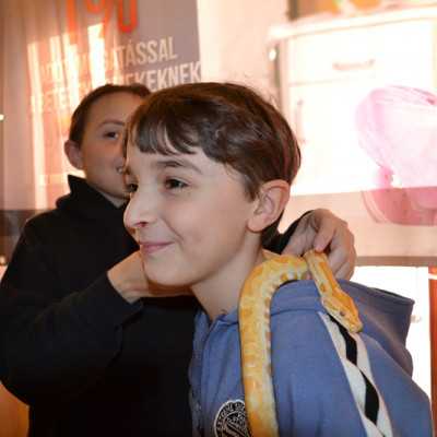 Tavaszváró ünnepség a leukémiás és daganatos beteg gyermekekért - adó, 1%, alapítvány, támogatás