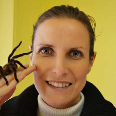 Tavaszváró ünnepség a leukémiás és daganatos beteg gyermekekért - adó, 1%, alapítvány, támogatás