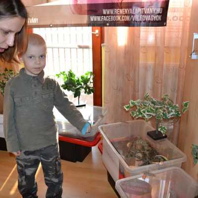 Tavaszváró ünnepség a leukémiás és daganatos beteg gyermekekért - adó, 1%, alapítvány, támogatás