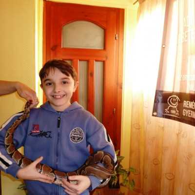 Tavaszváró ünnepség a leukémiás és daganatos beteg gyermekekért - adó, 1%, alapítvány, támogatás