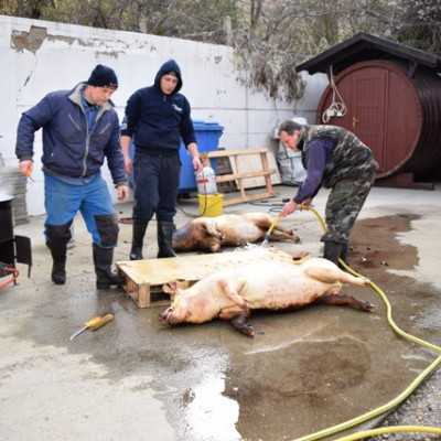 Télbúcsúztató  - adó, 1%, alapítvány, támogatás