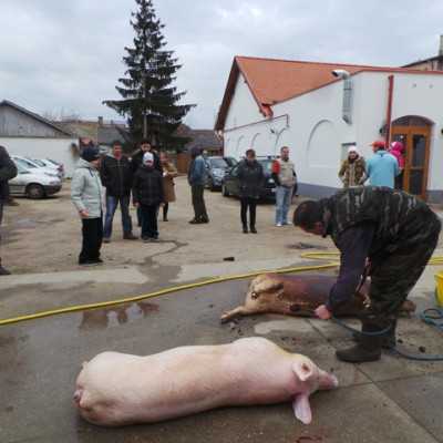 Télbúcsúztató  - adó, 1%, alapítvány, támogatás