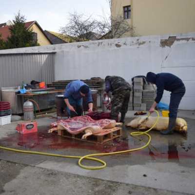 Télbúcsúztató  - adó, 1%, alapítvány, támogatás