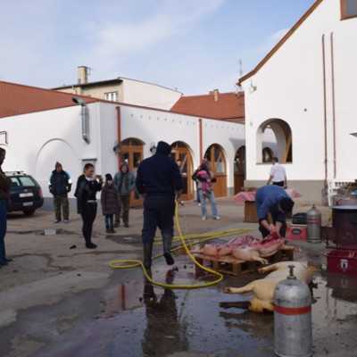 Télbúcsúztató  - adó, 1%, alapítvány, támogatás