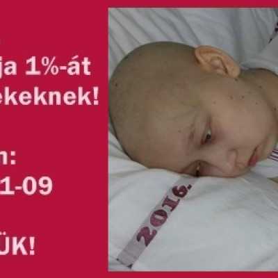 Több mint 5000 hívás érkezett! - alapítvány, adó 1%, támogatás