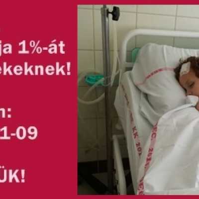 Több mint 5000 hívás érkezett! - alapítvány, adó 1%, támogatás