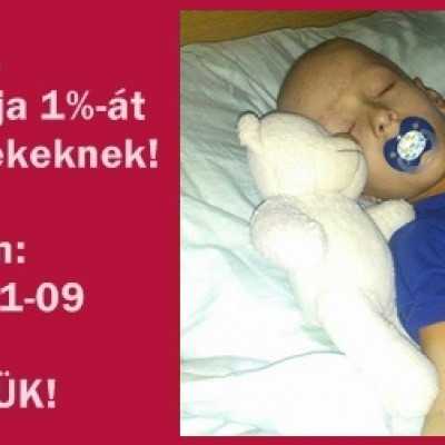 Több mint 5000 hívás érkezett! - alapítvány, adó 1%, támogatás