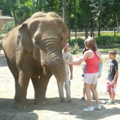 Tündérmeséből valóság -1 - adó, 1%, alapítvány, támogatás