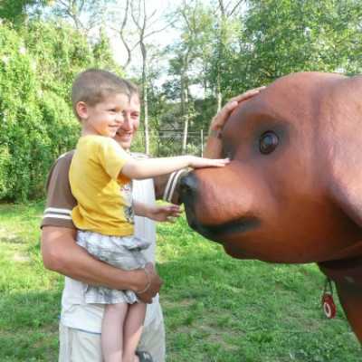 Vodri Bakonyszücsön - adó, 1%, alapítvány, támogatás