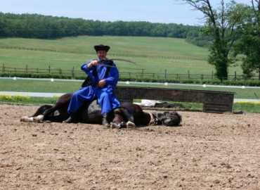 Családok kirándulása a Lázár Lovasparkba