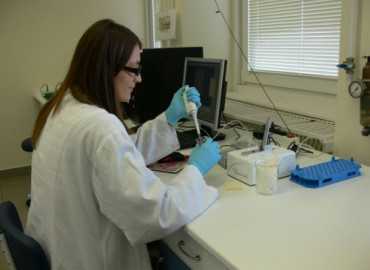 Debreceni Egyetem kutatás támogatás