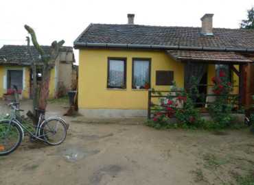 Neked meg volt már a napi jótetted?