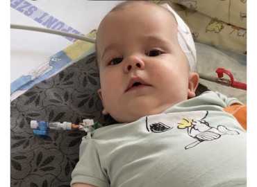 Kolen agydaganattal és több veleszületett rendellenességgel is küzd!